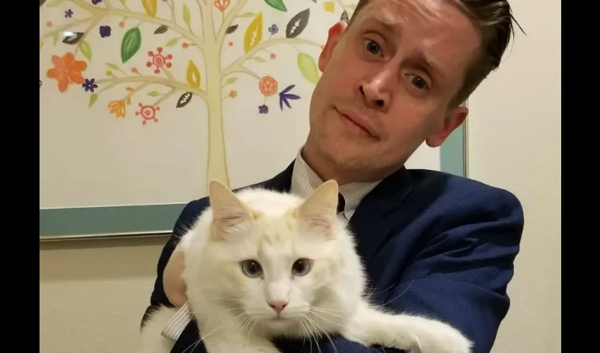Foto ilustrativa del actor Macaulay junto a un gato. 