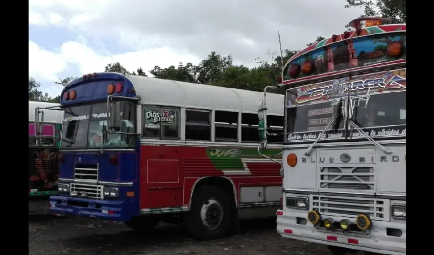 Foto ilustrativa de algunos buses de La Chorrera. 