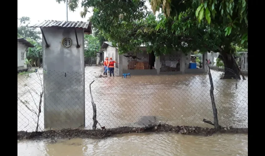  Sinaproc monitorea diferentes áreas en Panamá Oeste y Coclé, ya que se mantienen las lluvias y muchos ríos están a su máximo nivel.