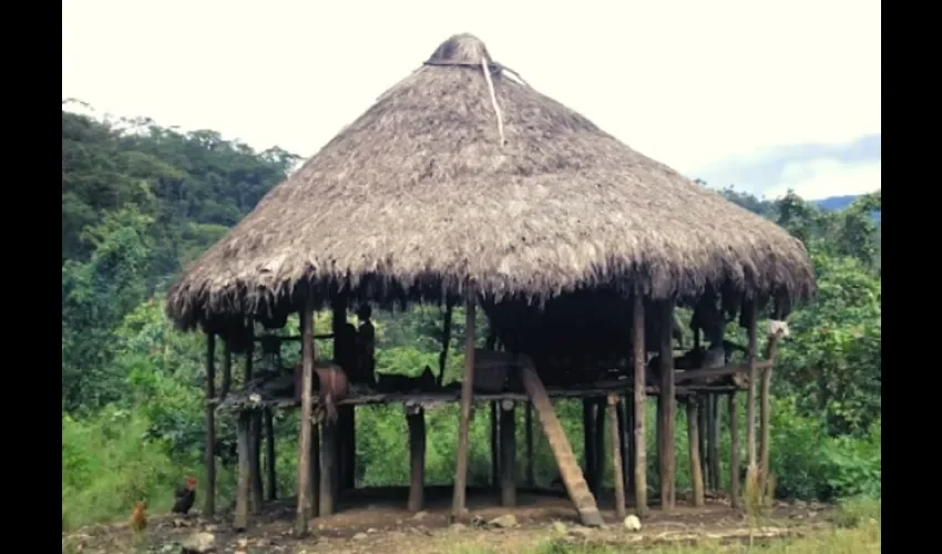 Las casas de tambo en la comarca Emberá-Wounaan siempre se hacen en la parte superior, entre 1 metro 20 a 1 metro 50 de altura, de manera que si hay corriente de agua pase por debajo. Foto: Cortesía.