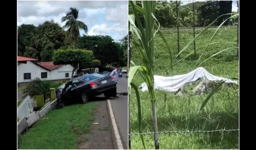 Los ciclistas murieron en el mismo lugar de la tragedia. 