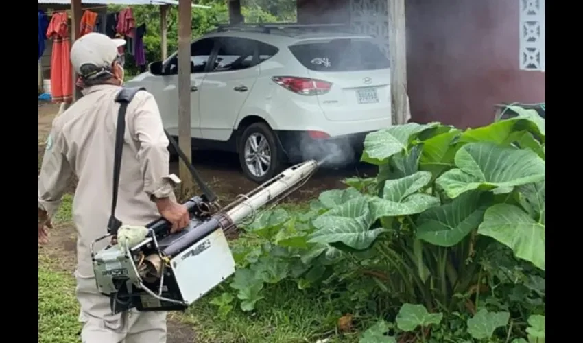 Foto ilustrativa de la fumigación. 