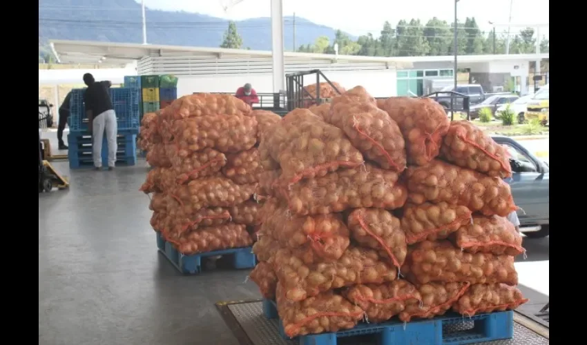 Esperan una exitosa producción de cebolla este año. (Foto cortesía: Merca Panamá)