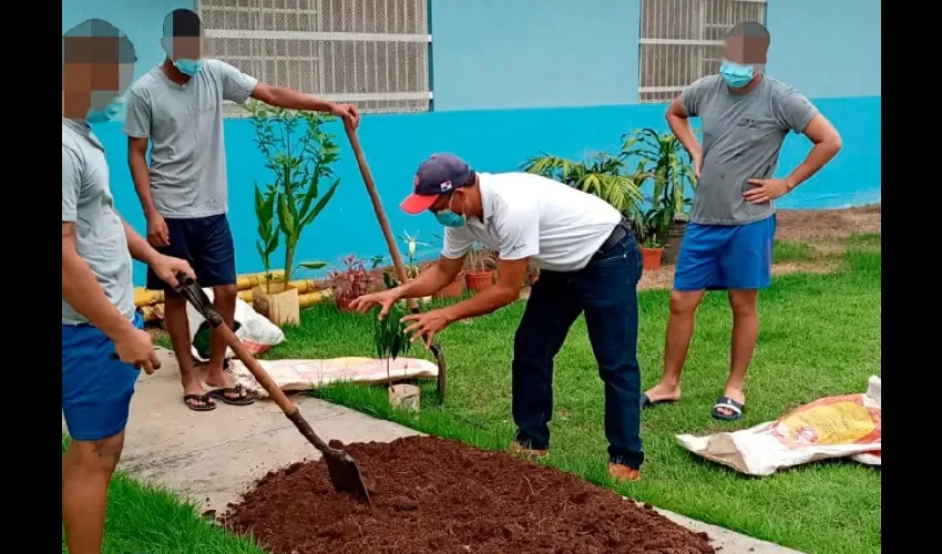 Foto ilustrativa de los trabajos realizados. 