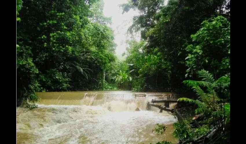 Las lluvias continuan en la provincia de Chiriquí y se mantiene la alerta verde por el Entro de Operaciones de Emergencia  ( COE). Foto: José Vásquez. 