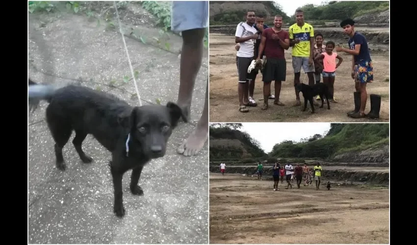 El perro fue llevado a la estación policial de San Judas Tadeo. Fotos: Diomedes Sánchez. 