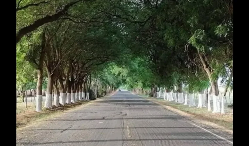 El paseo Blanca Mejía es un sitio de gran atractivo para locales y visitantes. Foto: Thays Domínguez. 