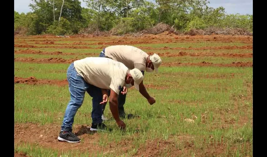 Los privados de libertad  agradecieron por haberlos  tomado en cuenta para este proyecto. Foto: Cortesía 
