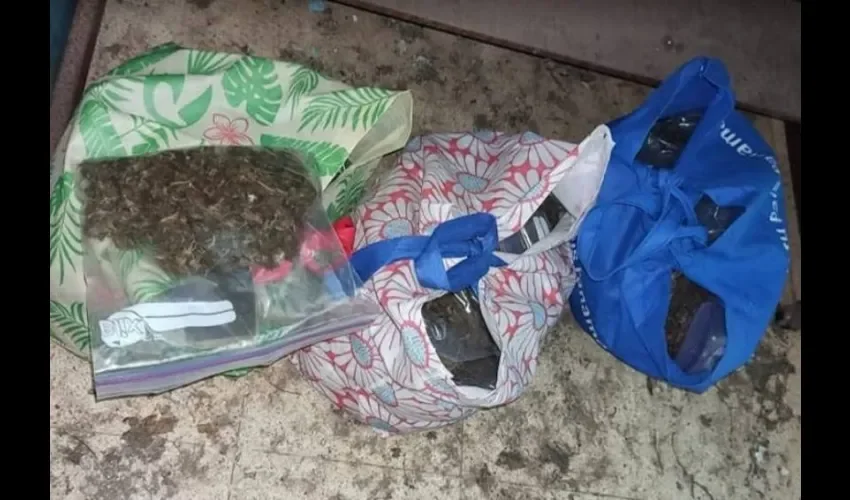 La droga fue encontrada en bolsas de tamaño mediano. Foto: Thays Domínguez. 