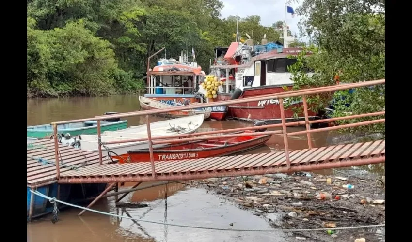 Foto: José Vásquez.