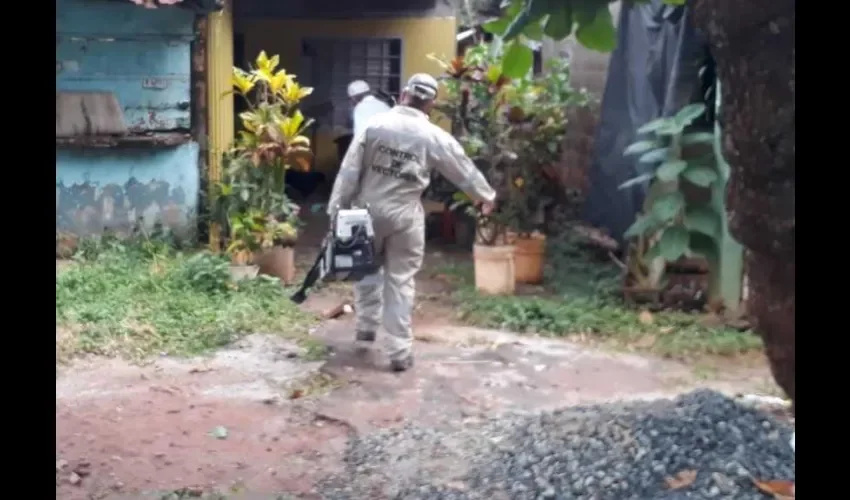 Piden a la población eliminar los criaderos de sus predios. Foto: Thays Domínguez. 