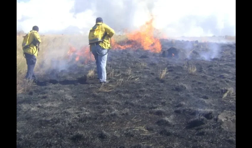 Foto ilustrativa de los incendios.