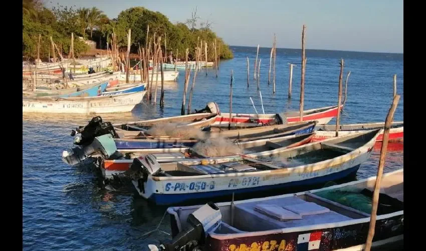 Contiene 3 componentes estratégicos: biológico, ecológico y socio económico. Foto: Cortesía 