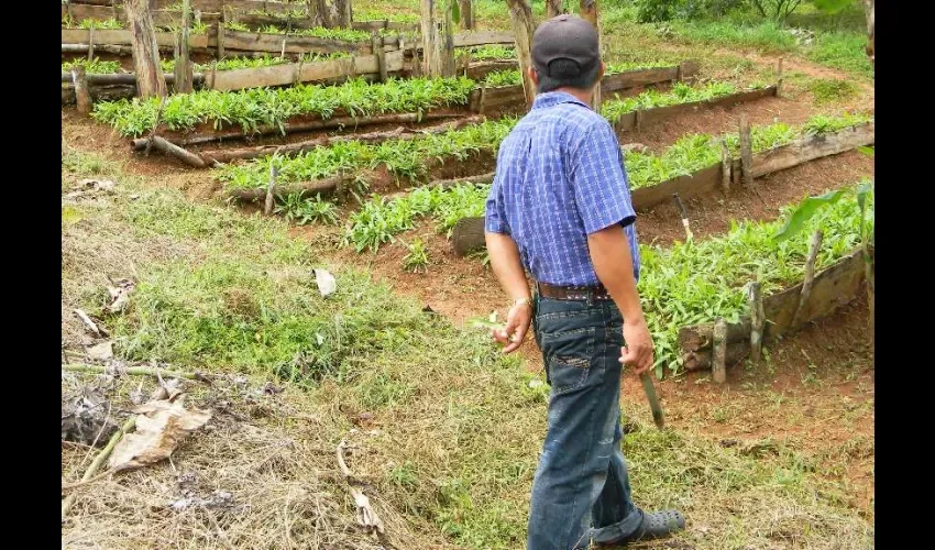 Foto ilustrativa de la producción. 