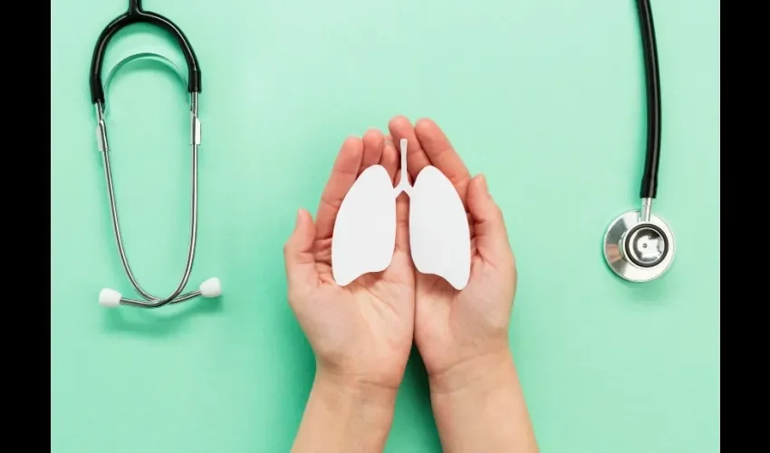 Foto ilustrativa de los pulmones. 