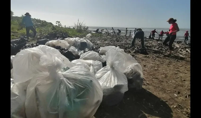 Aproximadamente cuatro toneladas de basura se recogieron, entre bolsas y desechos sueltos. Día a Día