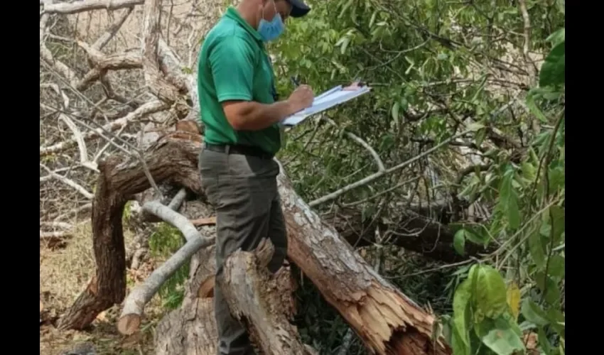 Foto ilustrativa de la inspección. 