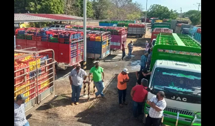 Foto ilustrativa de los productores. 