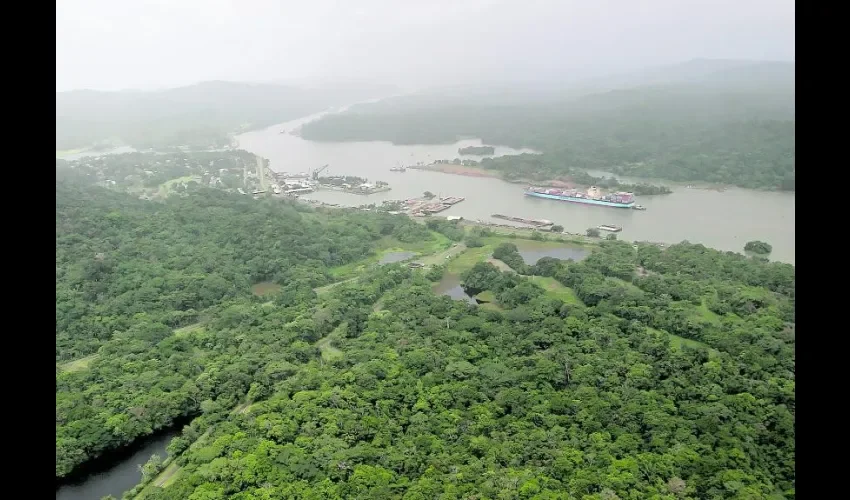 Foto ilustrativa de áreas verdes en Panamá. 
