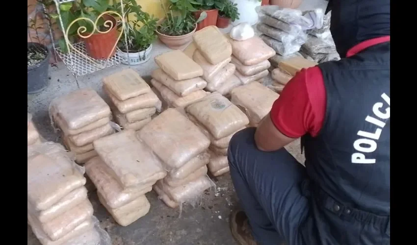 PN logra el decomiso de sustancias ilícitas. 