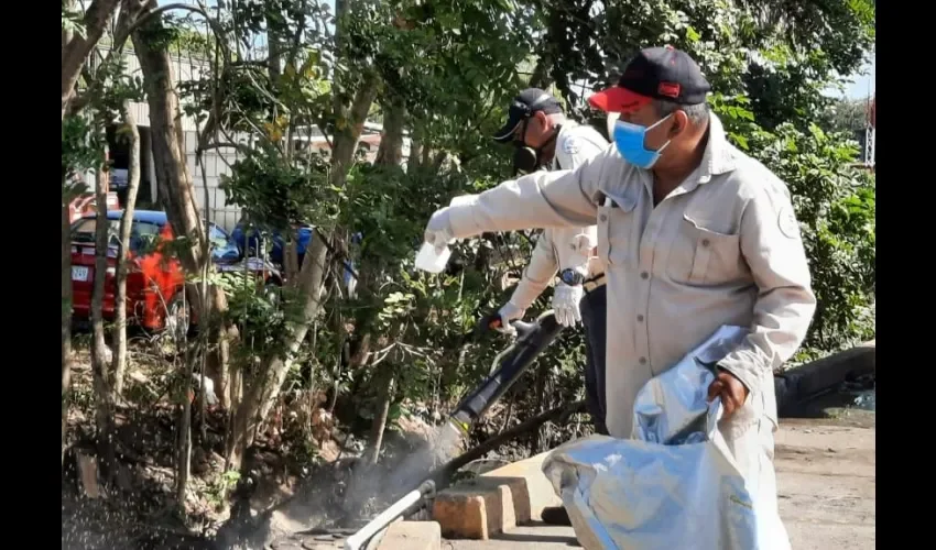 Vectores buscan áreas afectadas. 