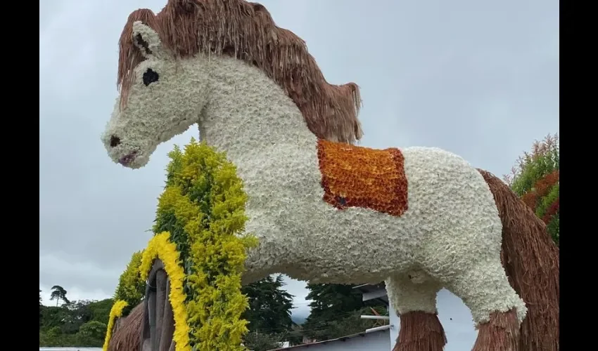 Los trabajos están hechos con flores naturales. 