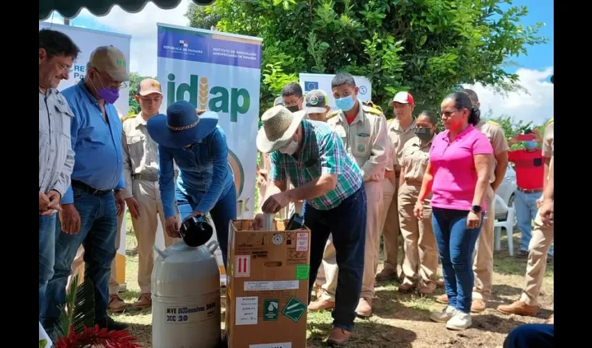 Entrega del material a productores. 