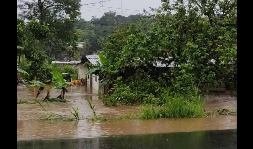 Foto: Diomedes Sánchez. 