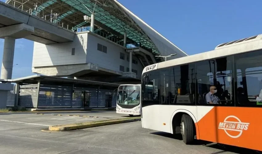 Los buses movilizan diariamente a más de 10 mil personas. 