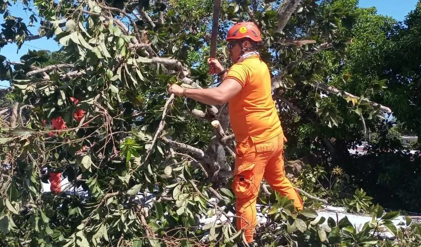 Personal del Sinaproc se mantiene en el área. 