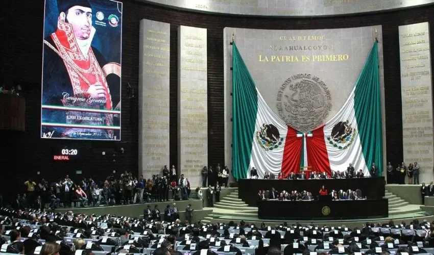 Las ONG se mantienen en los trámites. 