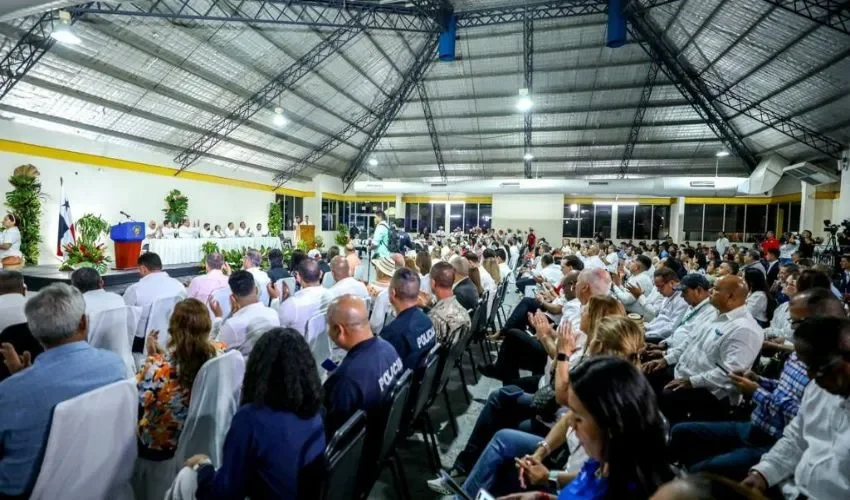 Vista de la presentación de informe. 