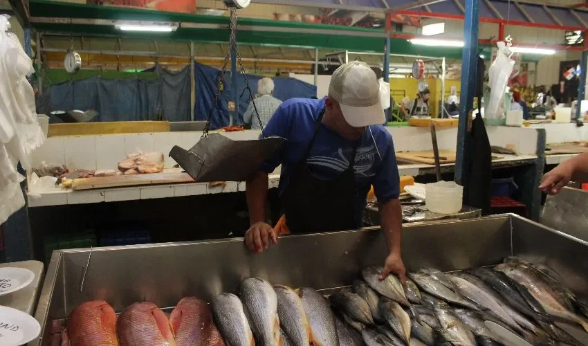 Venta de pescado en las instalaciones. 