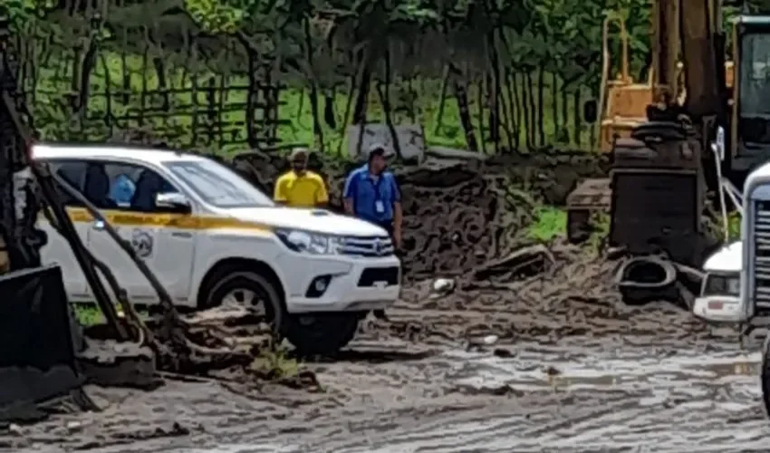 Vista del lugar investigado. 