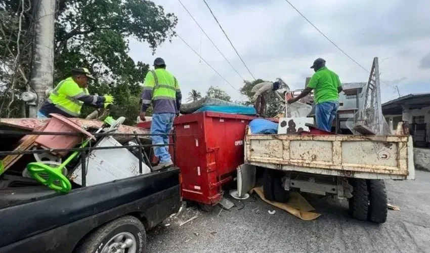 Los operativos buscan frenar los criaderos de alimañas. 