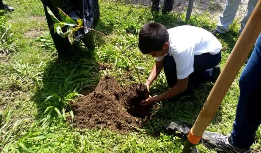 La educación ambiental toma cada día más fuerza. 