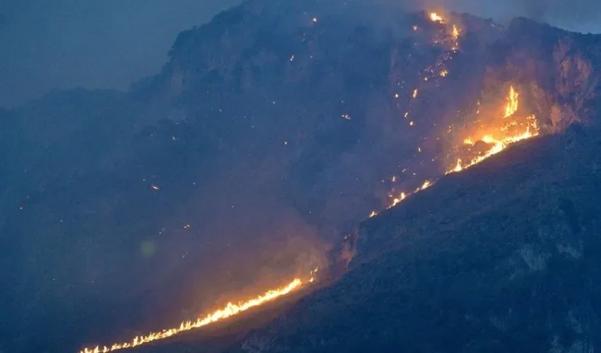 Las llamas se elevan en las colinas que rodean el área de Monte Grifone y la ciudad de Ciaculli, cerca de Palermo, Italia EFE/EPA/STR