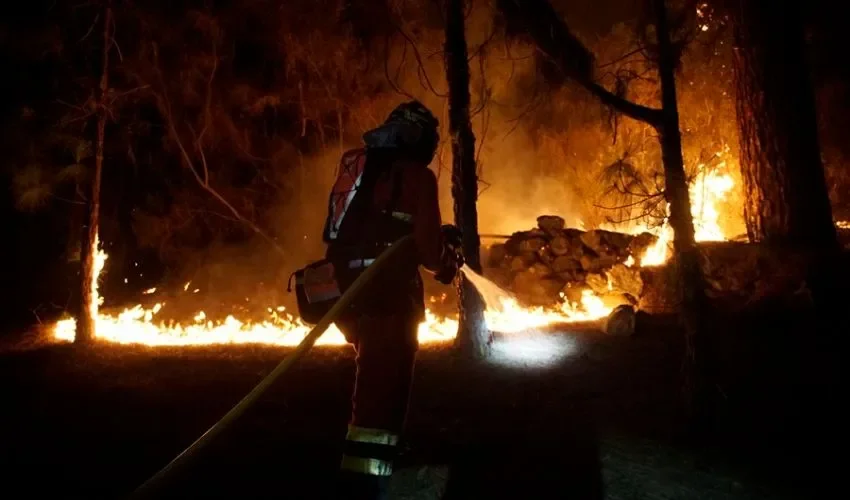 Miembros de la Unidad militar de emergencias (UME) trabajan en labores de extinción del incendio forestal de la isla de Tenerife. EFE/UME