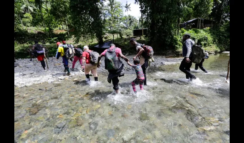 Migrantes caminan en la selva del Darién, en el sector de Lajas Blancas, en Darién (Panamá). EFE/Carlos Lemos