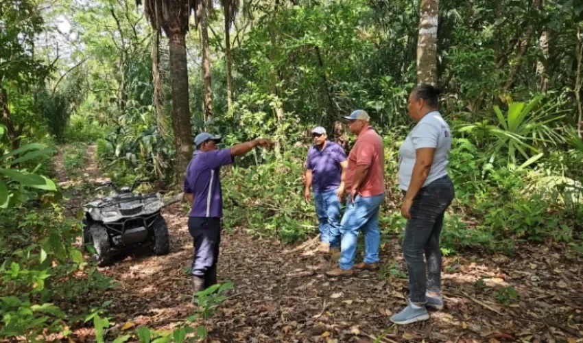 Foto: MiAmbiente. 