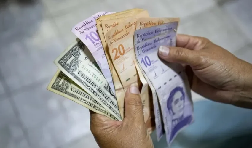 Fotografía de archivo de una persona mostrando billetes de bolívares y dólares, en Caracas (Venezuela). EFE/ Ronald Peña R