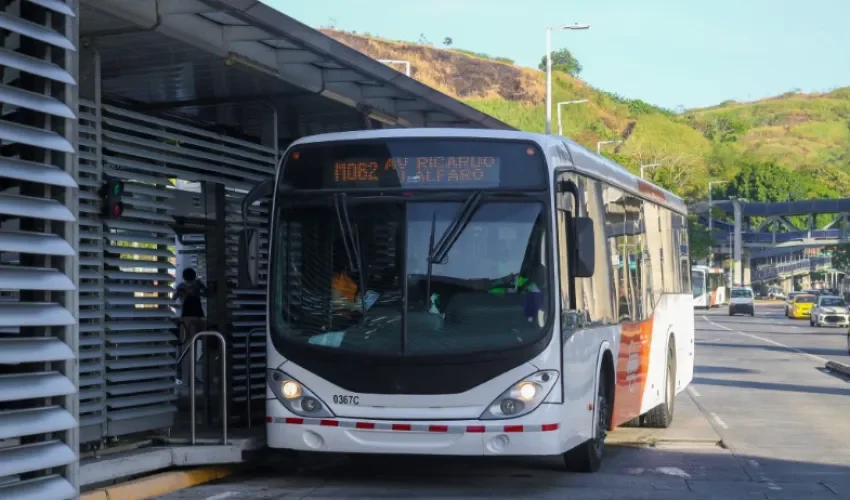 Foto: MiBus
