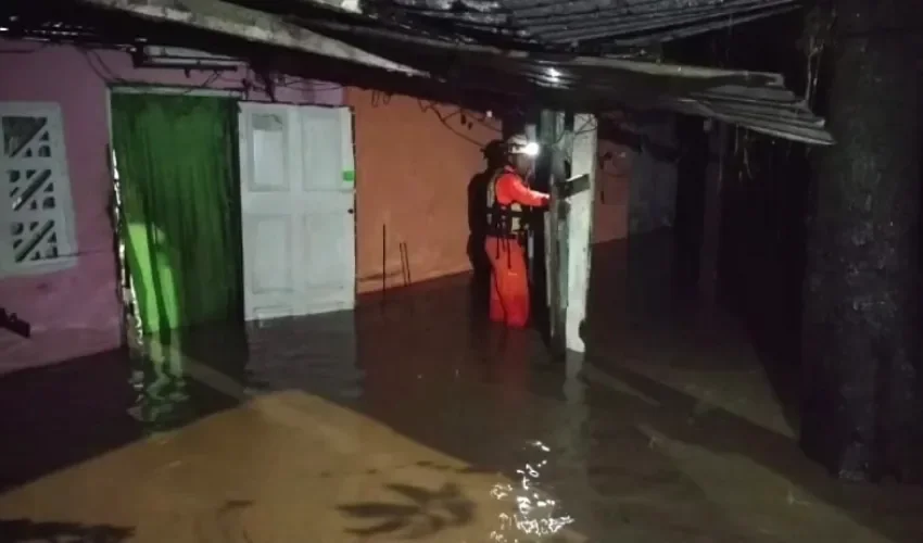 Foto: Thays Domínguez.  Foto: Thays Domínguez.