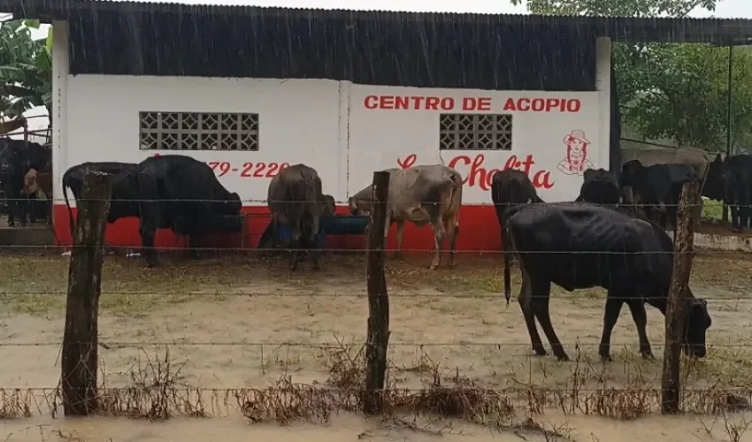 Foto: Melquiades Vásquez. 