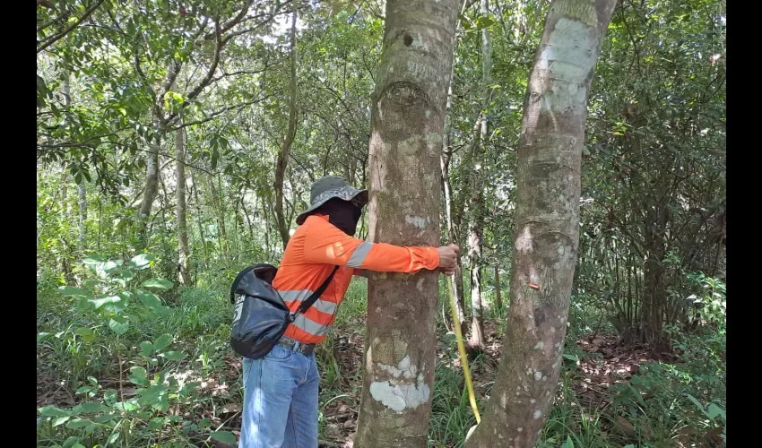 Foto: Presidencia de la República.
