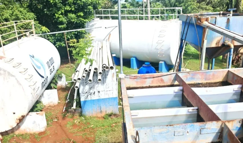 Foto: Thays Domínguez. 