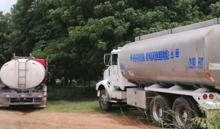 Foto: Thays Domínguez. 