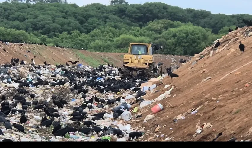 Foto: Thays Domínguez. 