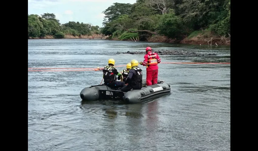 Foto: Thays Domínguez. 