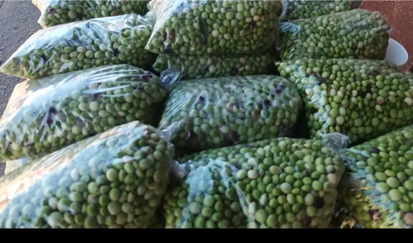 Foto: Melquiades Vásquez. 